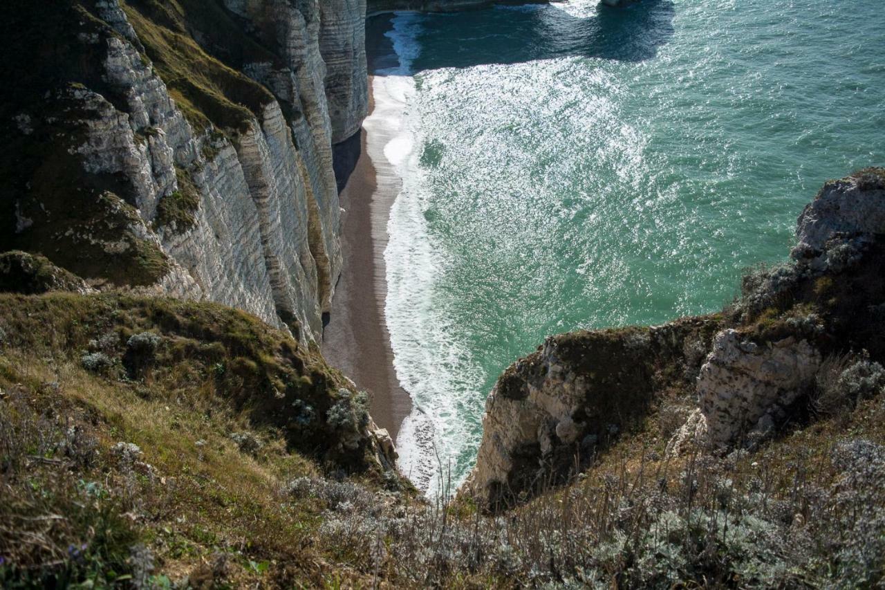 Les charmes Du Bosquet Parc d'Amour et Nature Parking Privé Sécurisé Étretat Exterior foto